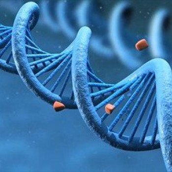 Les Maladies Génétiques