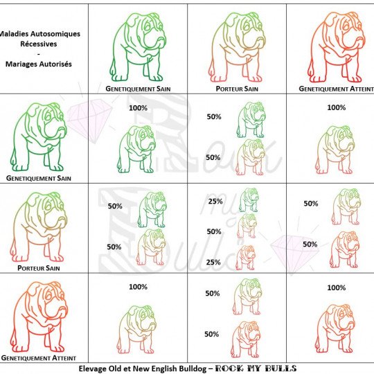 Tableau mariages autorisés